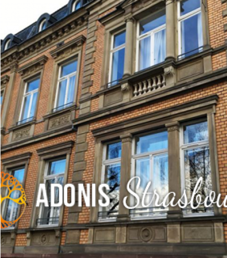 © Adonis Hôtel Strasbourg