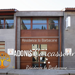 © Adonis Carcassonne - La Barbacane