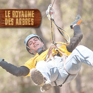 Le Royaume des Arbres - Photo 1